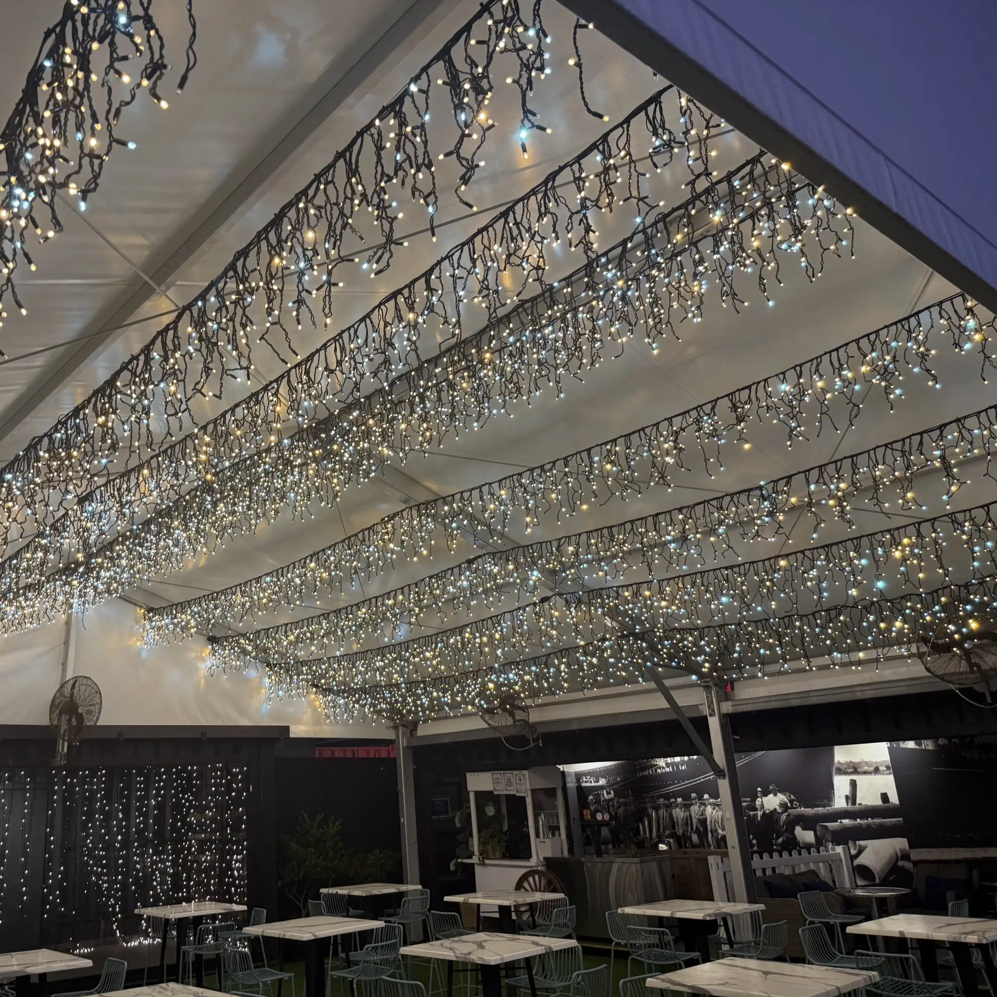 A Magical Canopy for the Boat House at Eat Street