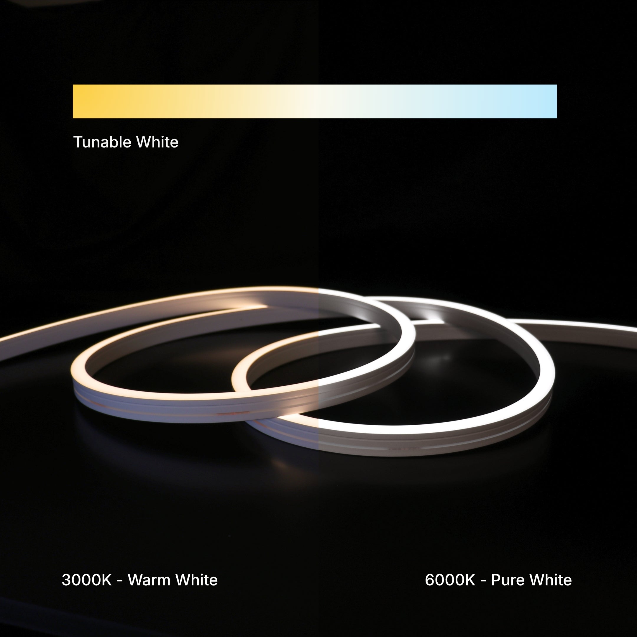 12x20mm Long Distance Neon - Tunable White Per Meter (48V)