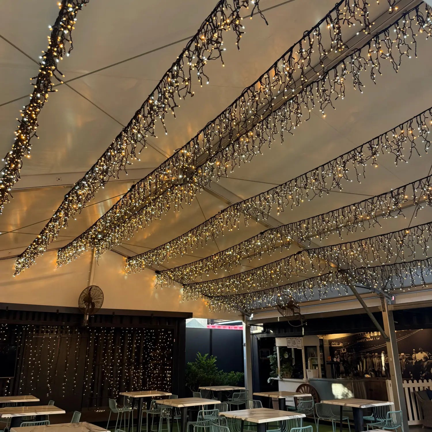 A Magical Canopy for the Boat House at Eat Street