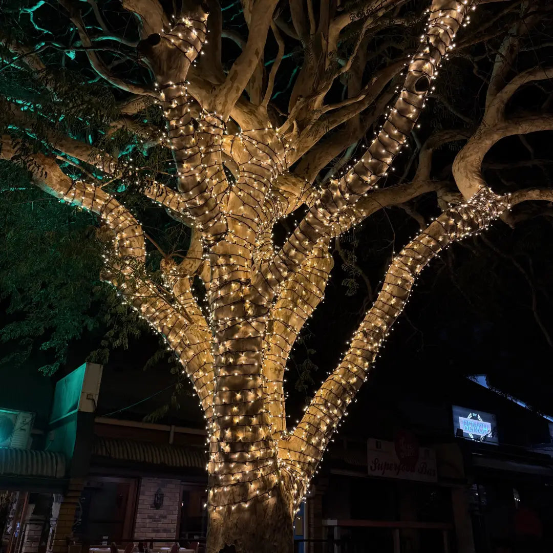 Extra-Large Tree Commercial Grade Fairy Light DIY Package - Tree Lighting