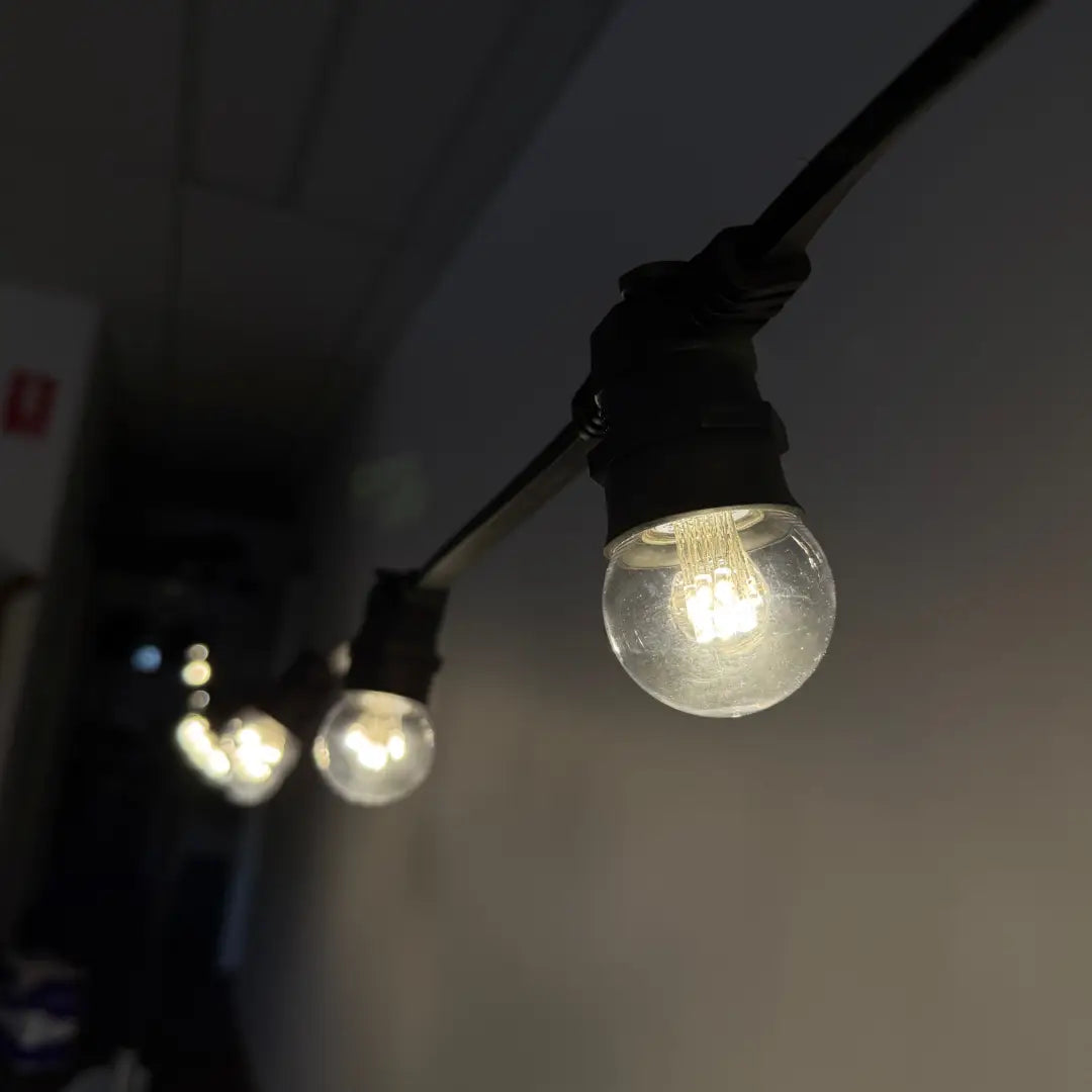 Natural White (4000K) Diodes Festoon Lighting Per Meter - Festoon Lighting