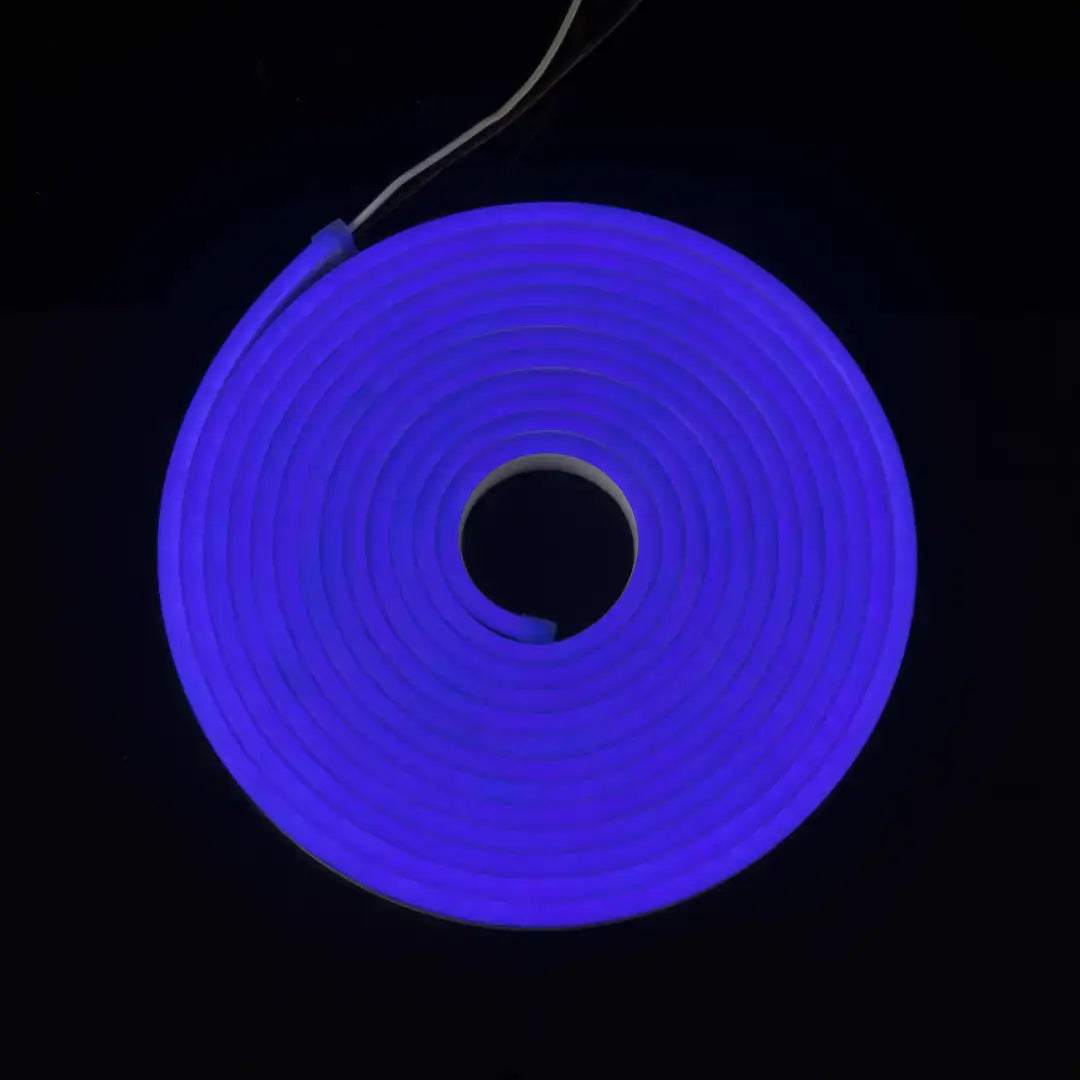 Glowing blue neon ring with concentric circles from 8x16 Flex Neon Mtr Royal Blue, flexible neon LED strip for architectural strips