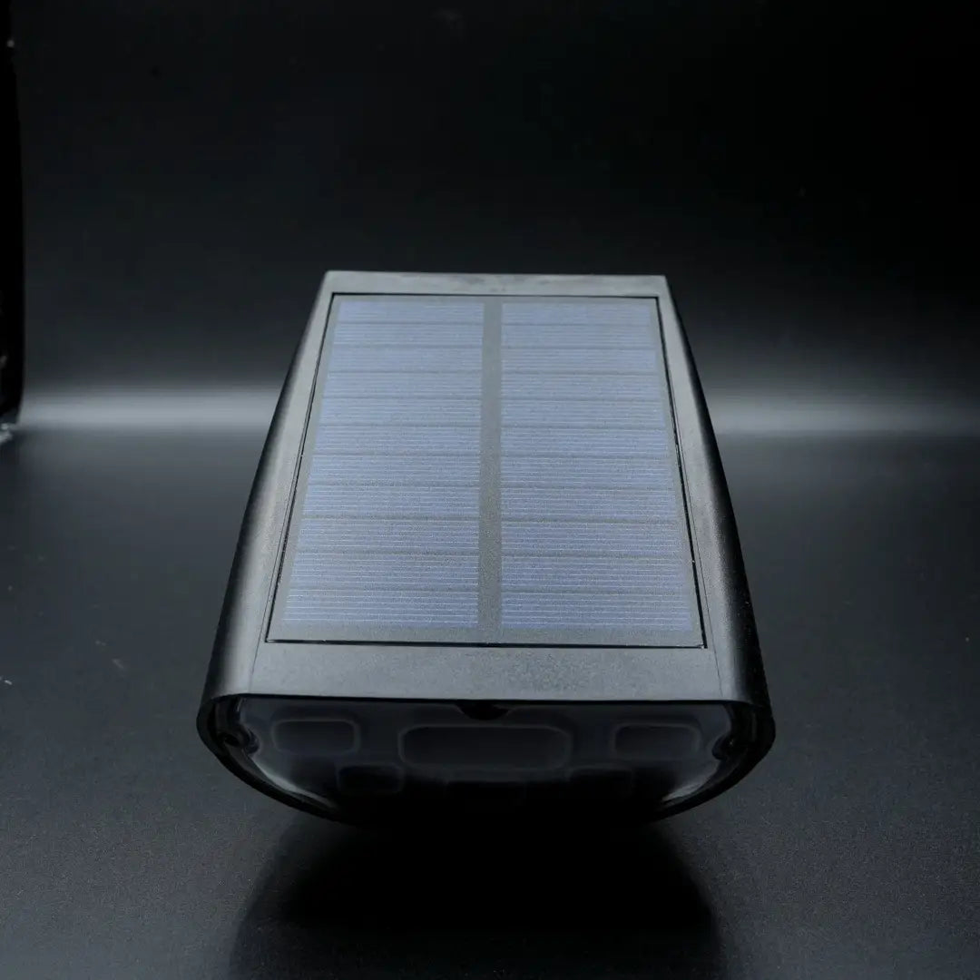 Solar Garden Spotlights (2) WW - Floodlight