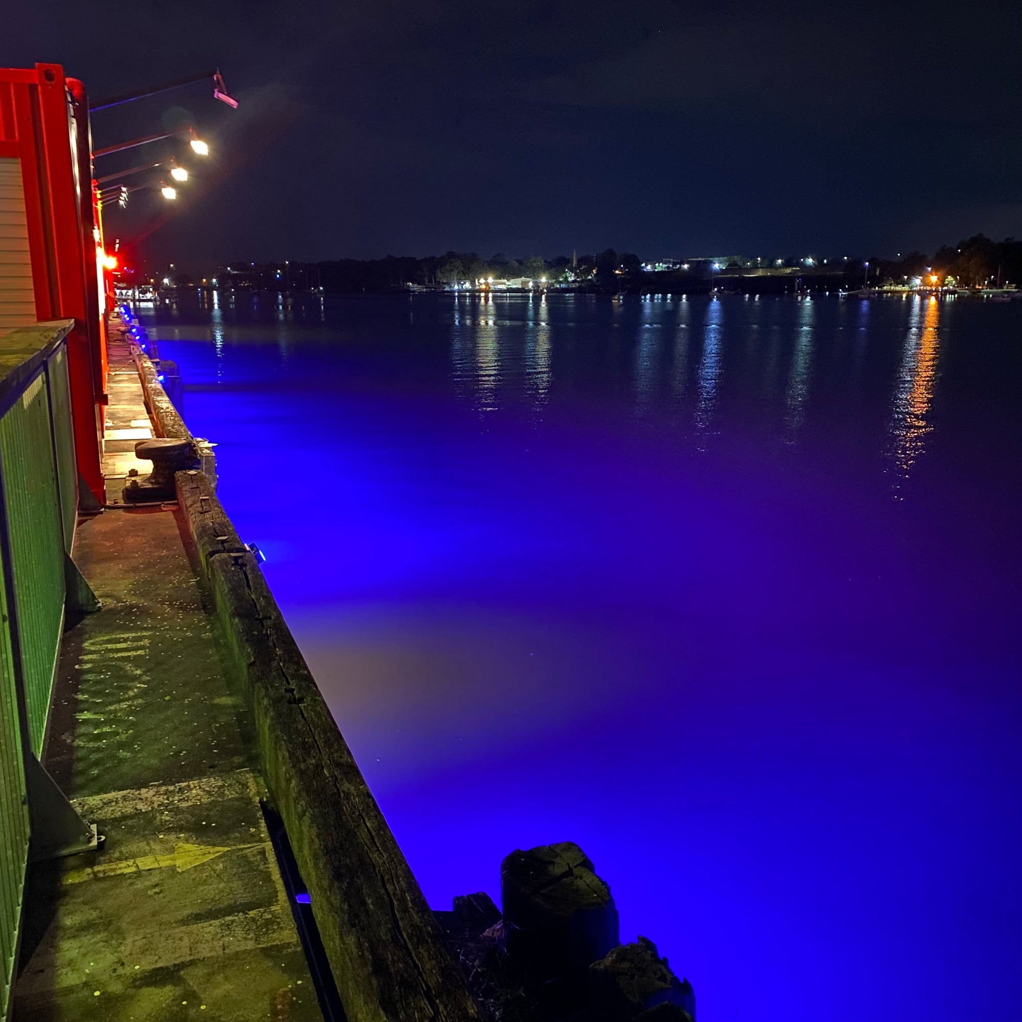 Lighting Up the Brisbane River: A Blue Spectacle