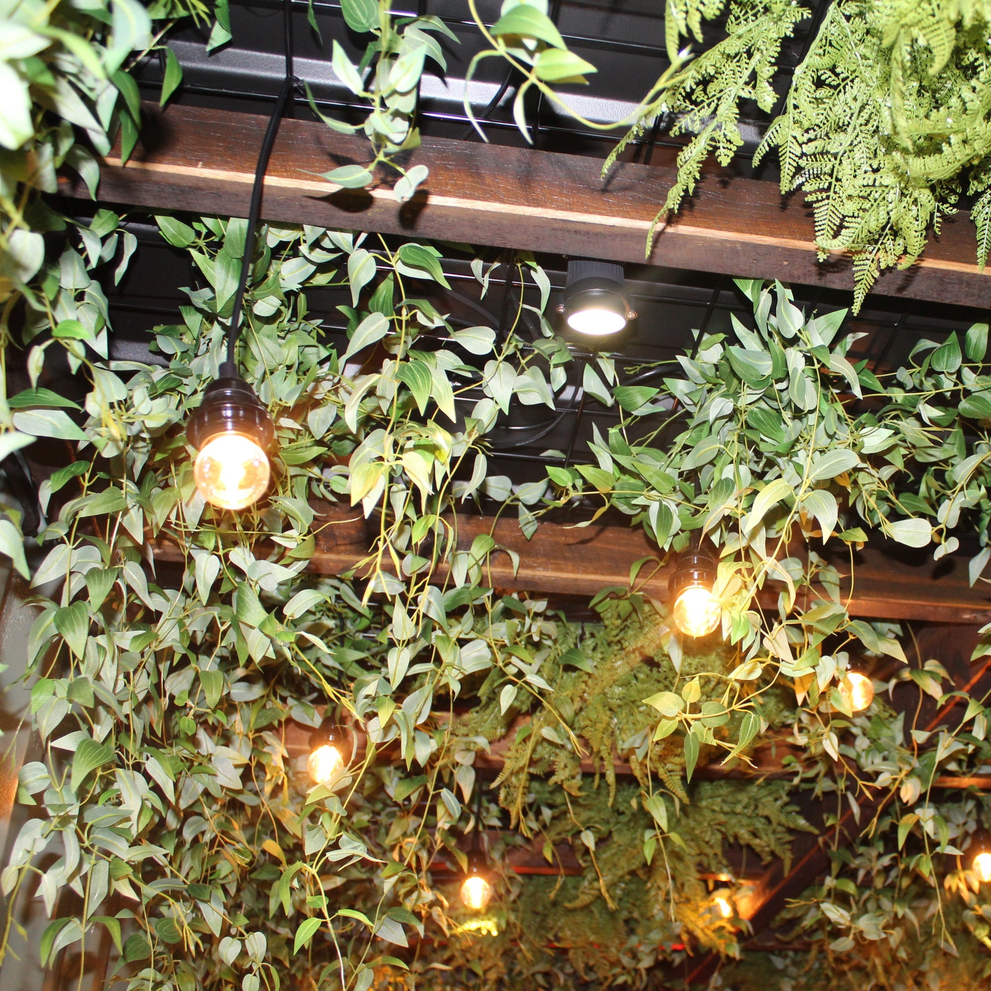 A Warm Glow Beneath the Green: Custom Lighting for a Botanical Ceiling Feature