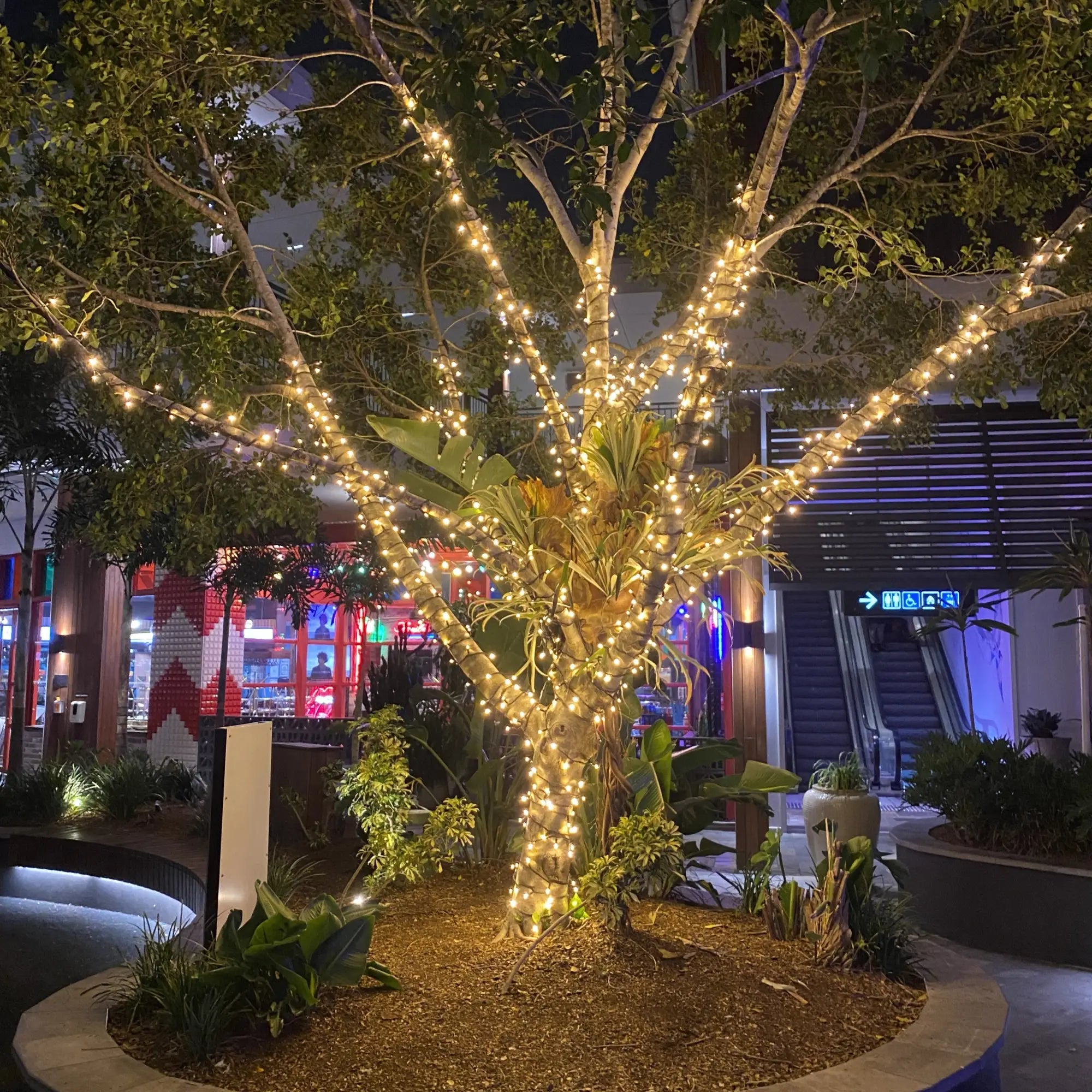 Fairy Light Tree @ Westfield Chermside