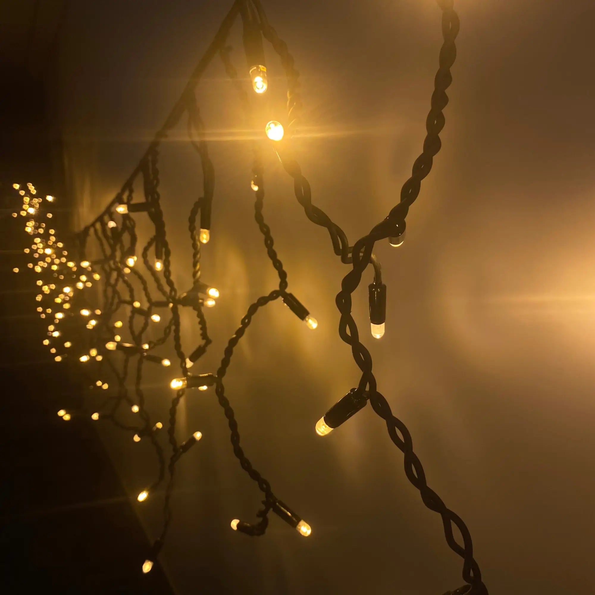 Fairy Lights for Commercial Use: Creating Magical Ambiences in Business Settings