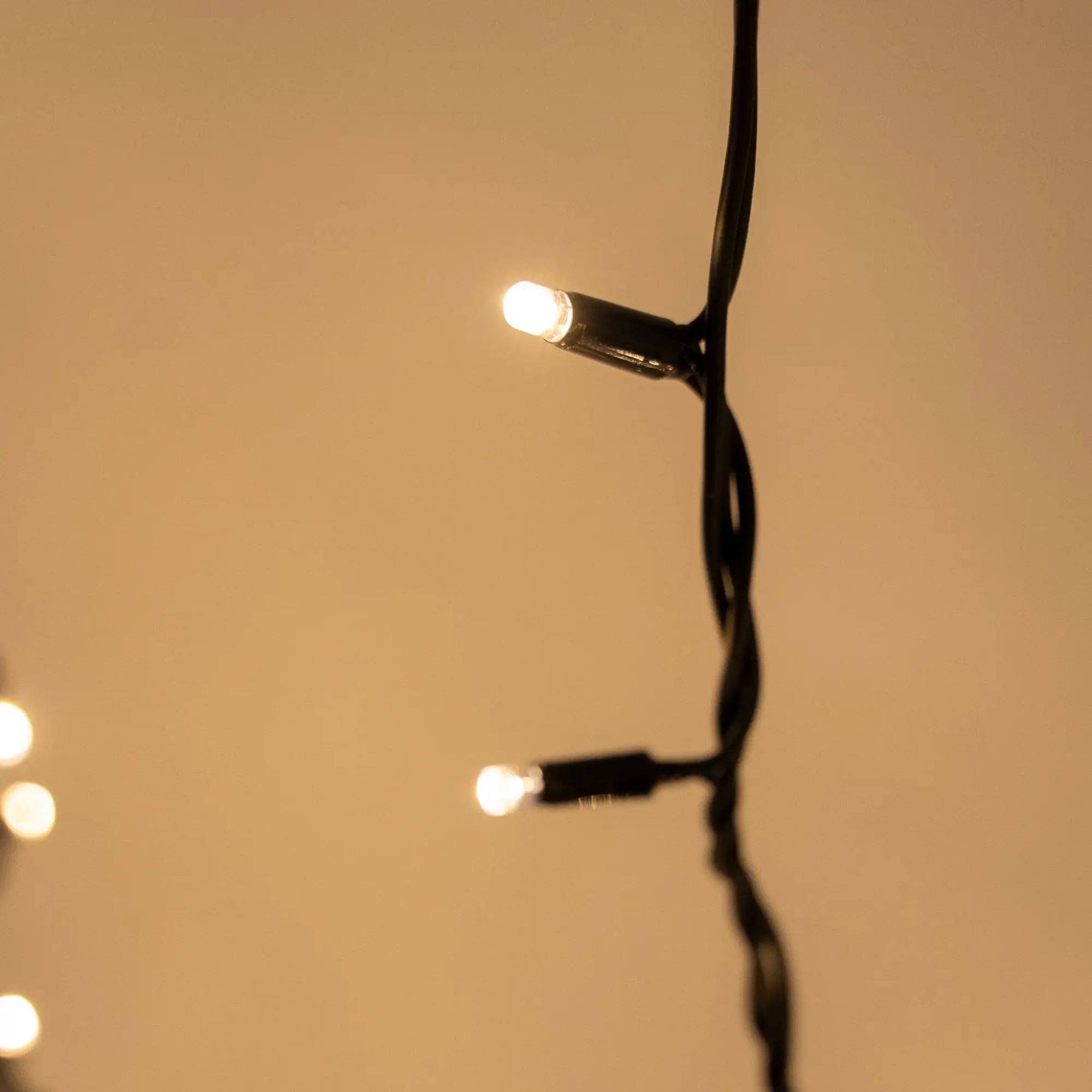 Illuminating Trees with Festoon Lighting