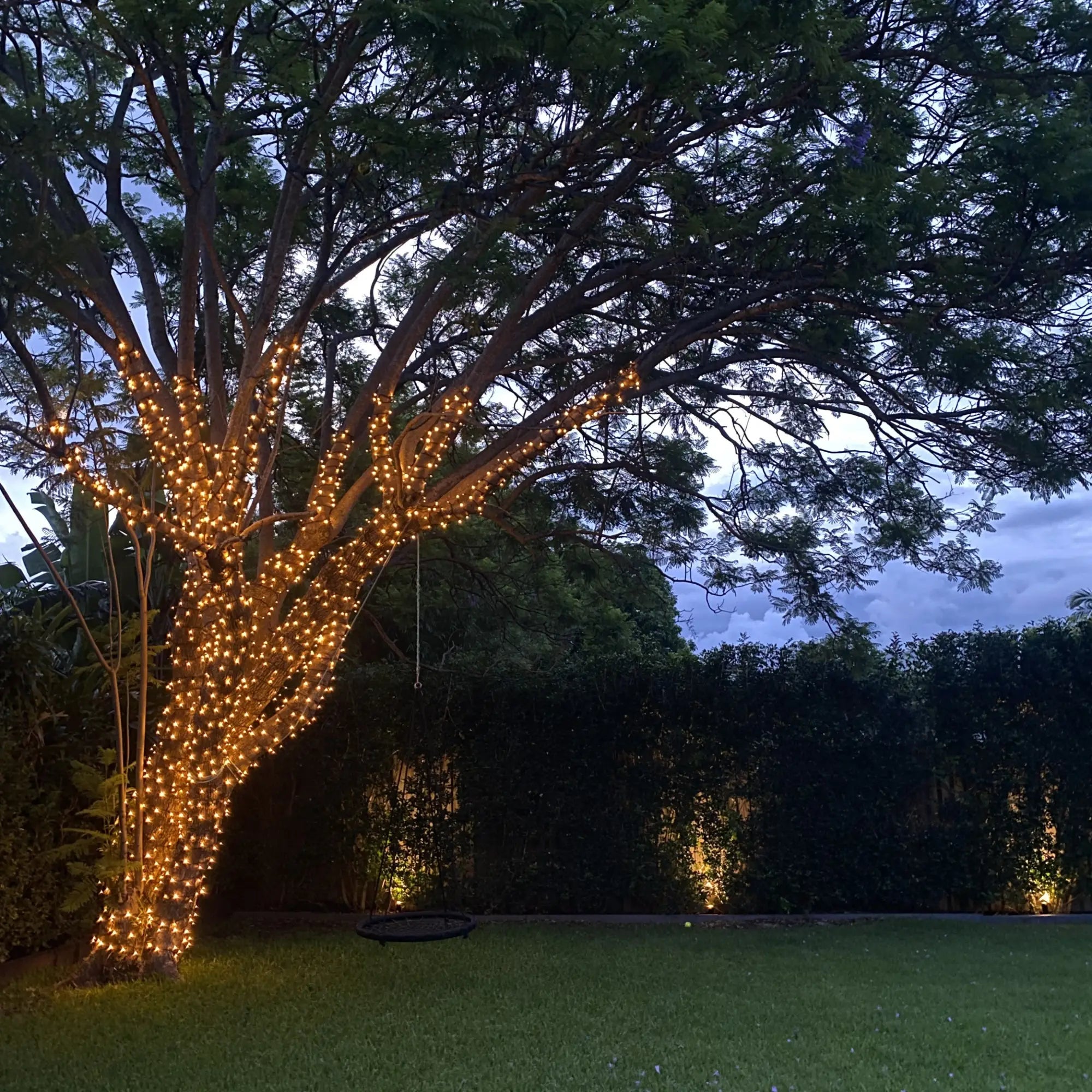 Transforming a Residential Backyard with Flexible Neon Lighting