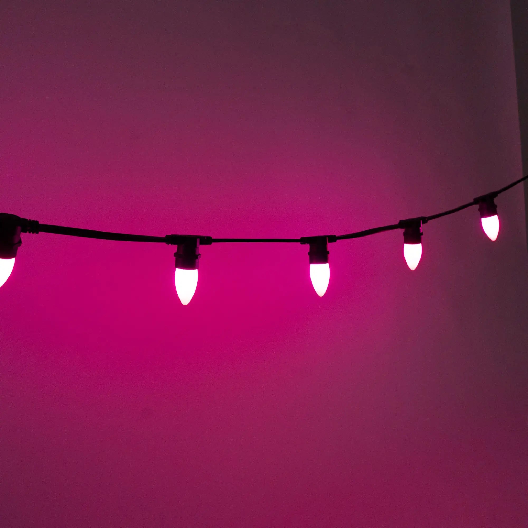 Why Choose 24V Festoon Lighting?