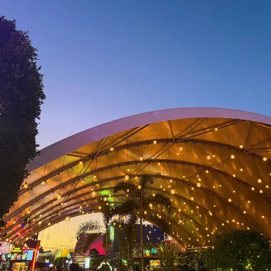 FESTOON LIGHTING (24V)