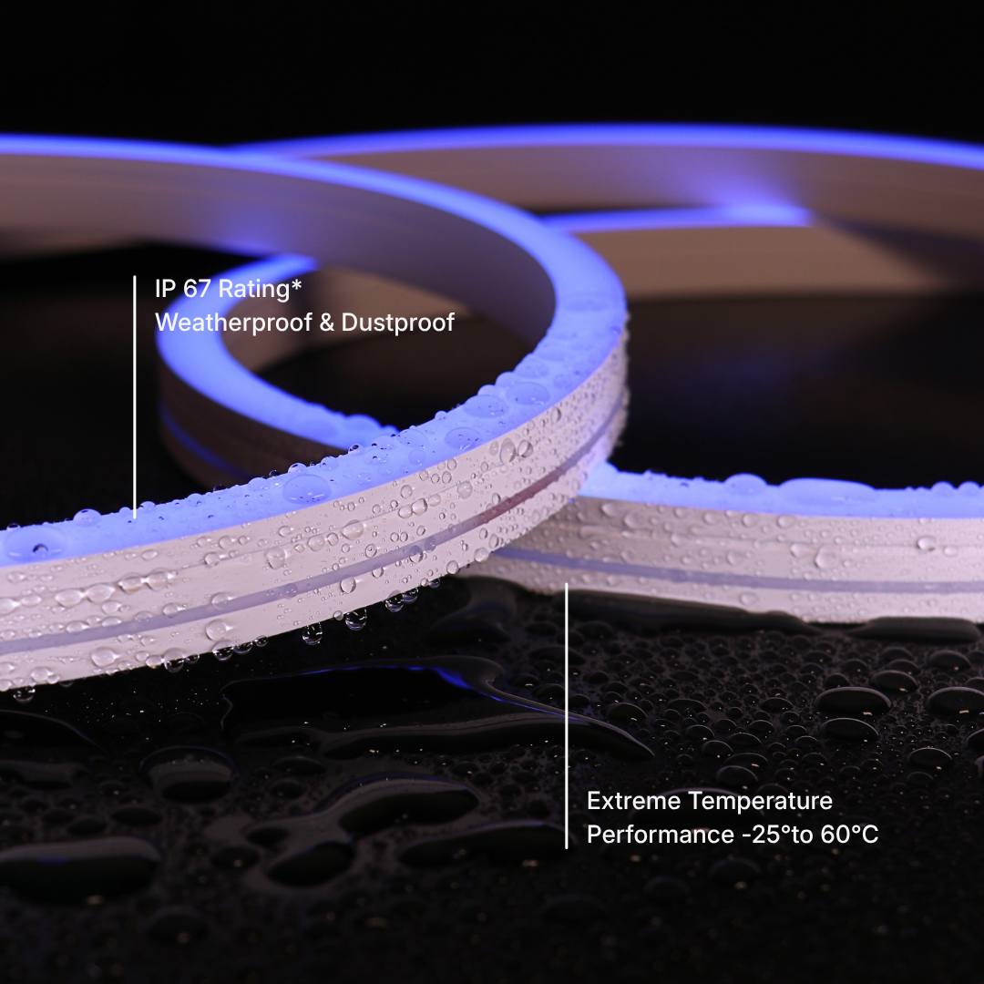 12x20mm Long Distance Flex Neon - RGB Warm White Per Meter (48V)