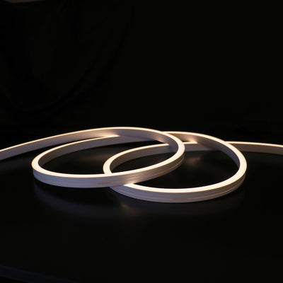 12x20mm Long Distance Neon - single Colour Per Meter (48V)