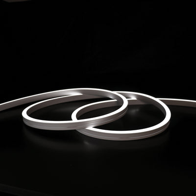 12x20mm Long Distance Neon - single Colour Per Meter (48V)