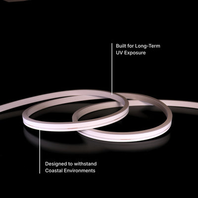 12x20mm Long Distance Neon - single Colour Per Meter (48V)