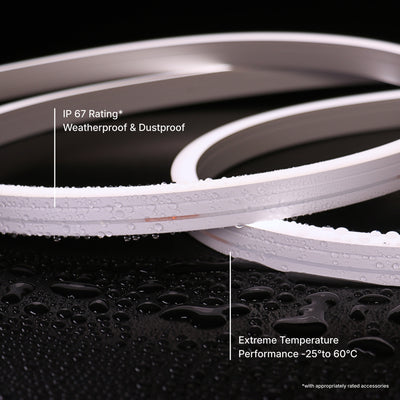 12x20mm Long Distance Neon - single Colour Per Meter (48V)