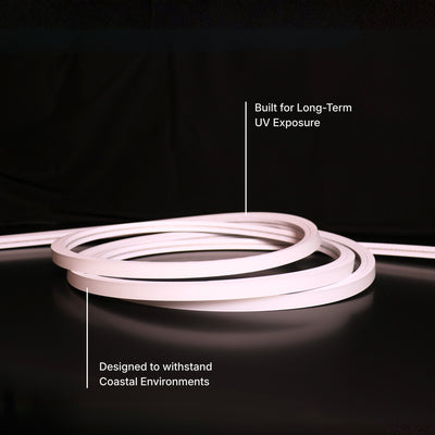 3D 16x17mm Neon - Single Colour Per Meter (24V)