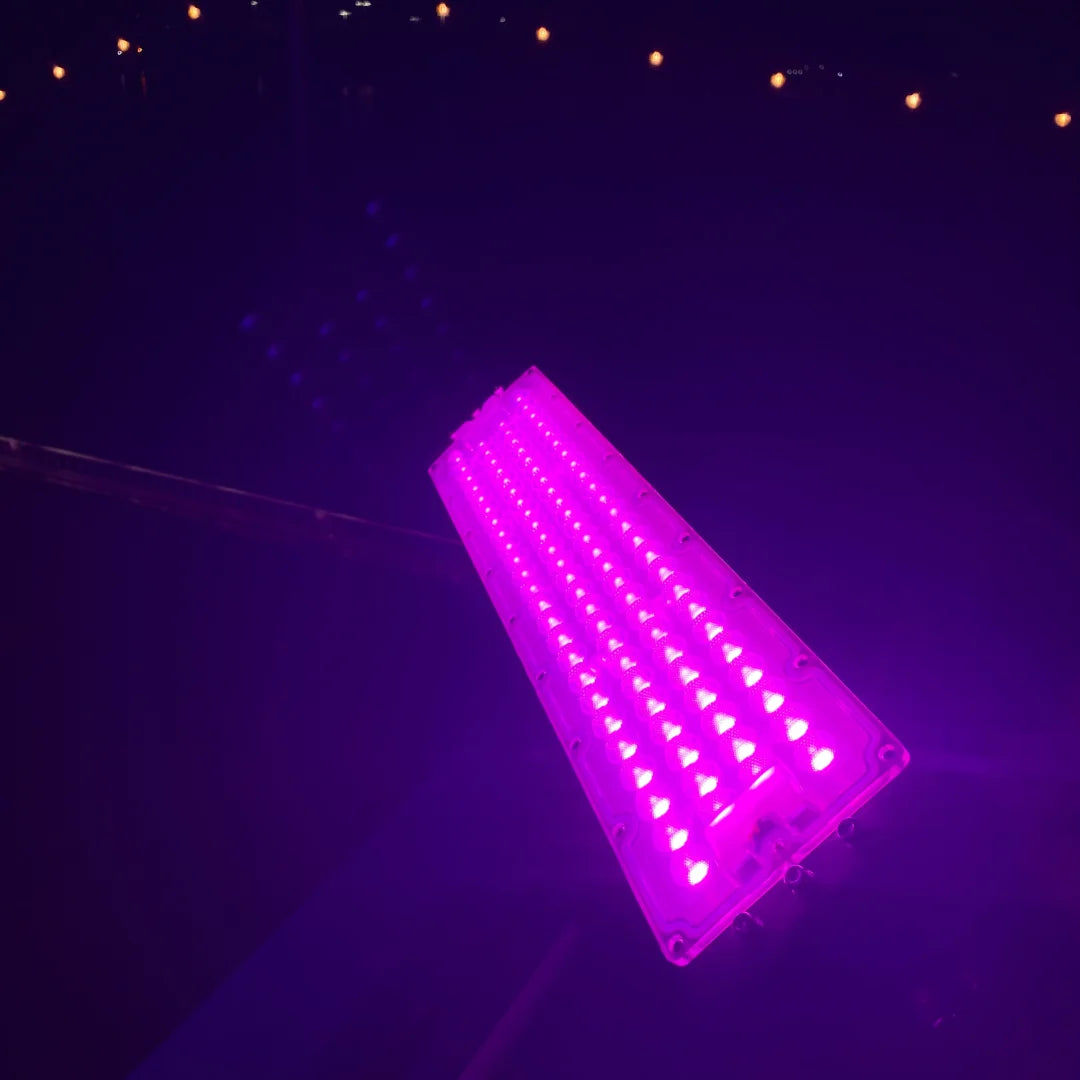 Pink Led Architectural Floodlight