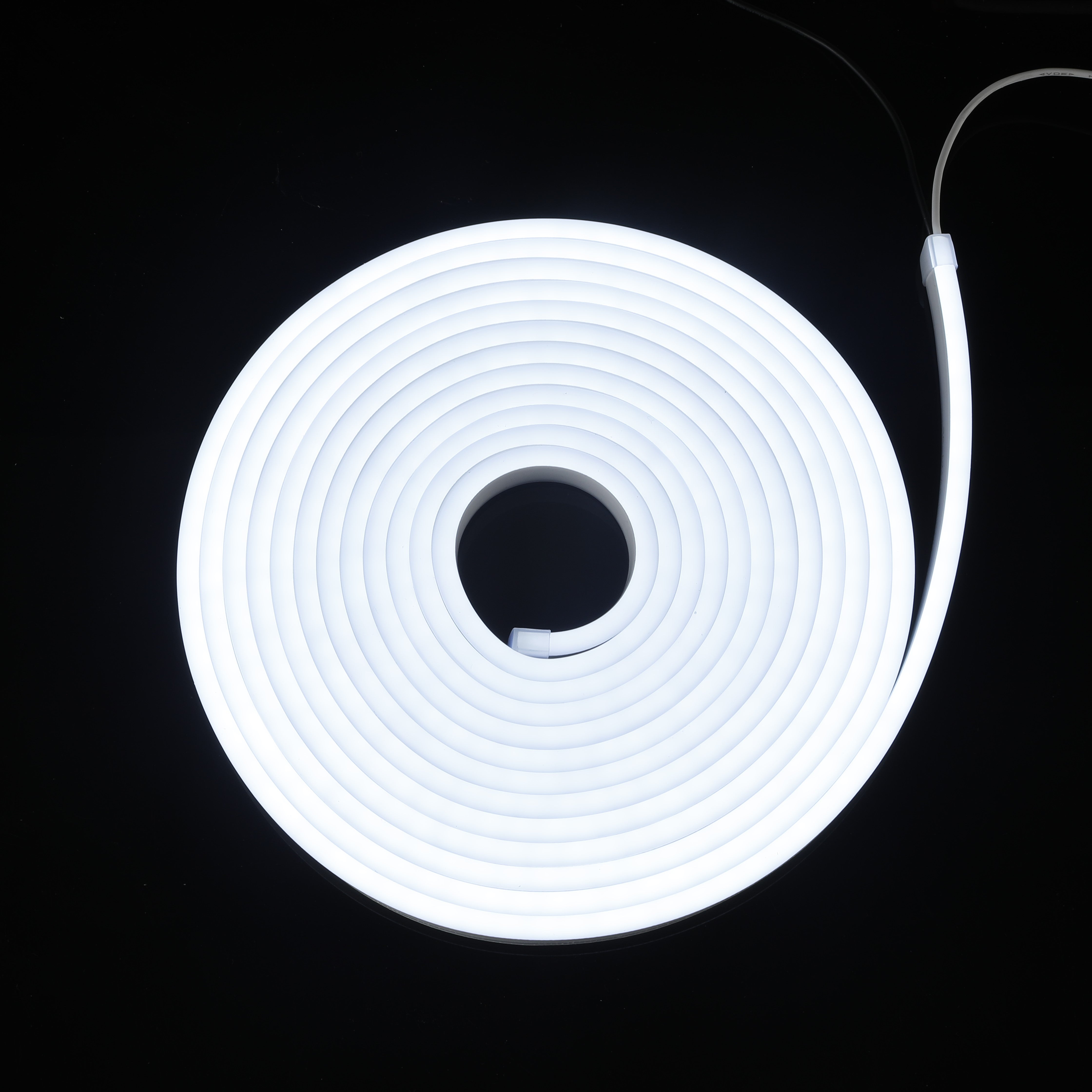 6×12mm Dome Flex Neon - Per Meter (12V)
