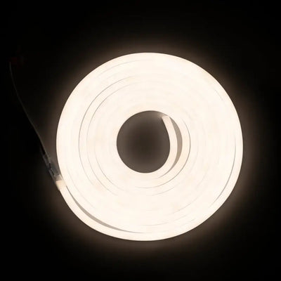 Circular fluorescent light fixture glowing in darkness with flexible neon LED strip, ELG 12V applied