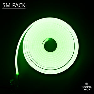 8x16 Flex Neon (5mtr) Emerald Green