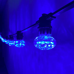 Cabochon Blue Flat Festoon Lighting Per Meter (0.5m Spacing)