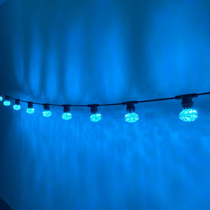 50m Cyan Cabochon Festoon Lighting Bundle (0.5m Spacing)