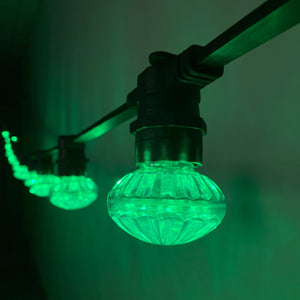 50m Green Cabochon Festoon Lighting Bundle (0.5m Spacing)