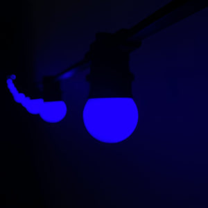 Royal Blue Festoon Lighting Per Meter (0.5m Spacing)