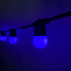 Royal Blue Festoon Lighting Per Meter (0.5m Spacing)