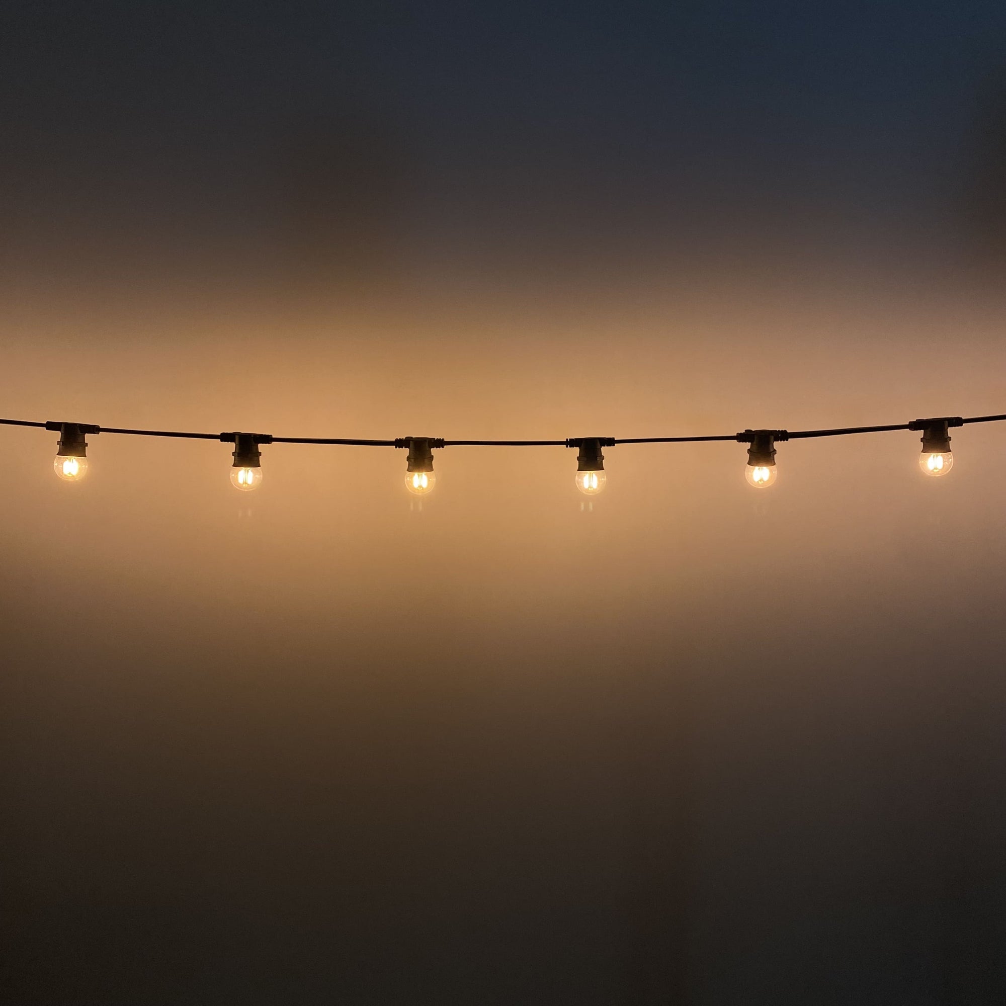 G45 Clear Warm White 2F Flat Festoon Lighting Per Meter (0.5m Spacing)