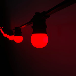 Raspberry Red Festoon Lighting Per Meter (0.5m Spacing)