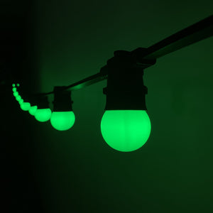 Emerald Green Festoon Lighting Per Meter (0.5m Spacing)