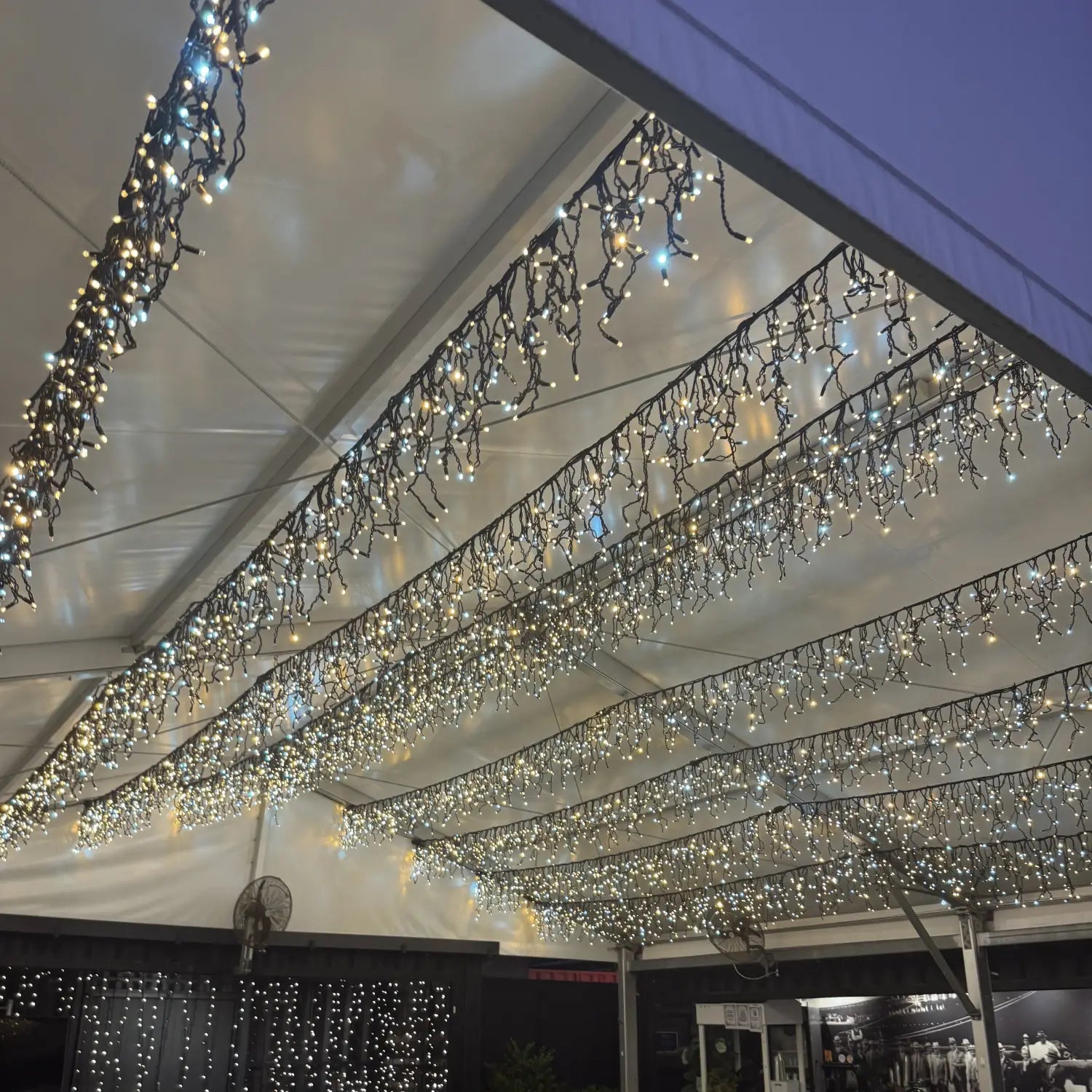 A Magical Canopy for the Boat House at Eat Street