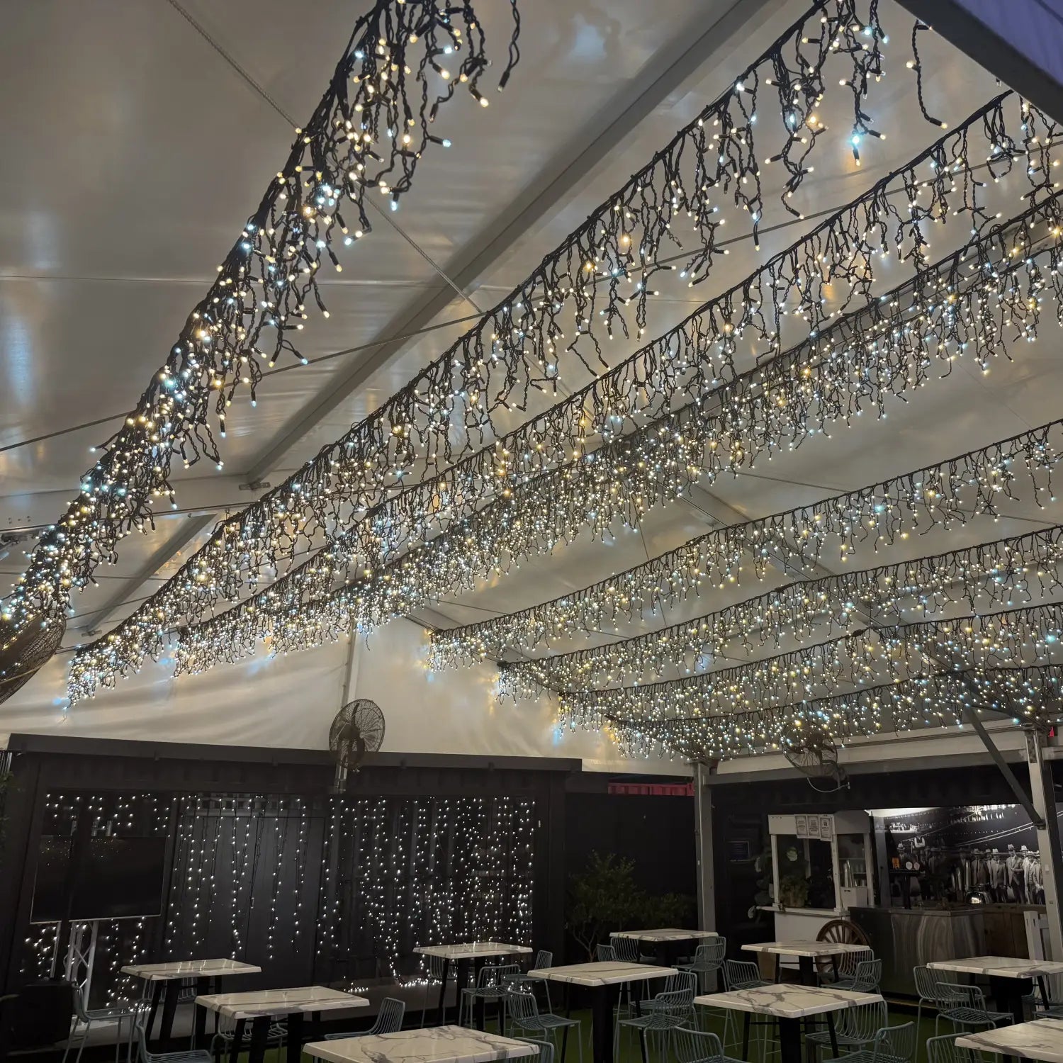 A Magical Canopy for the Boat House at Eat Street