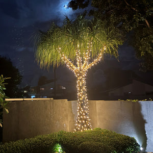 10M Icicle Warm White Fairy Lights