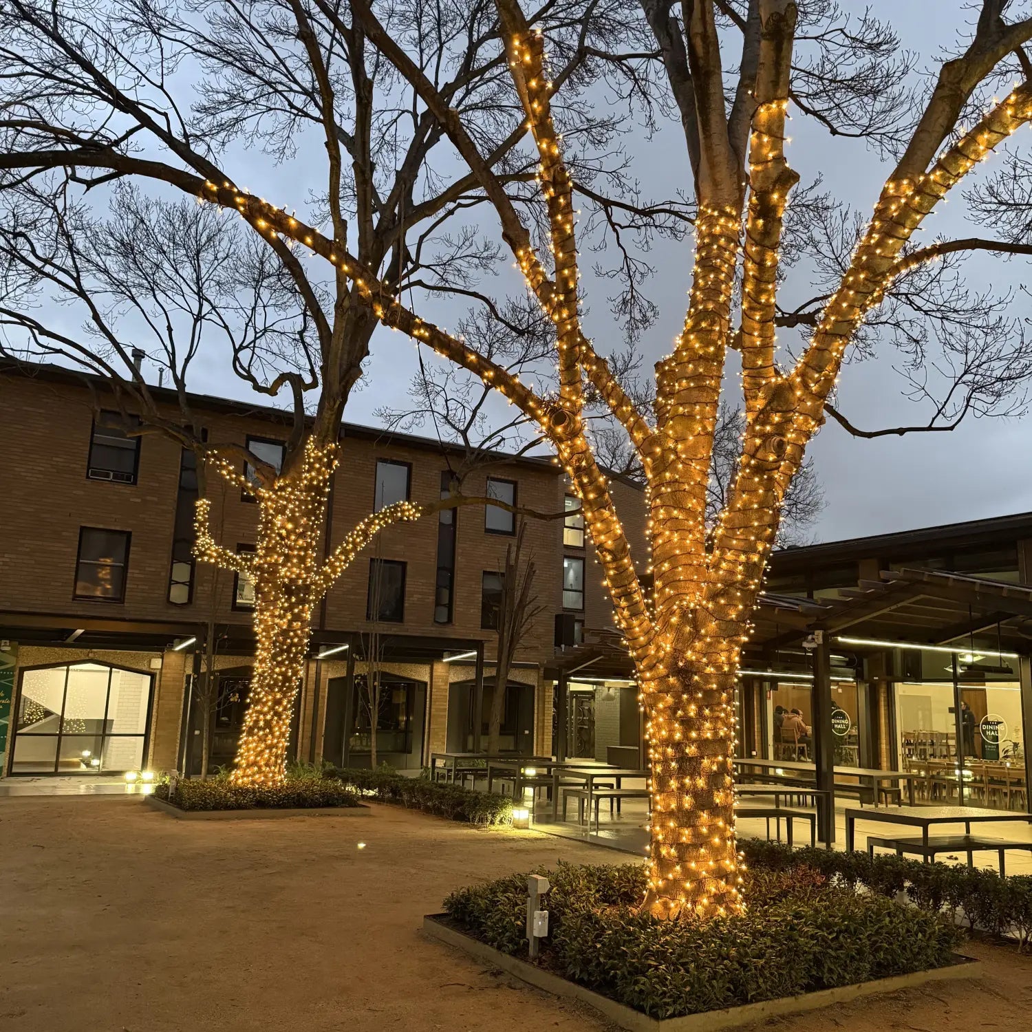Lighting Up the University of Melbourne