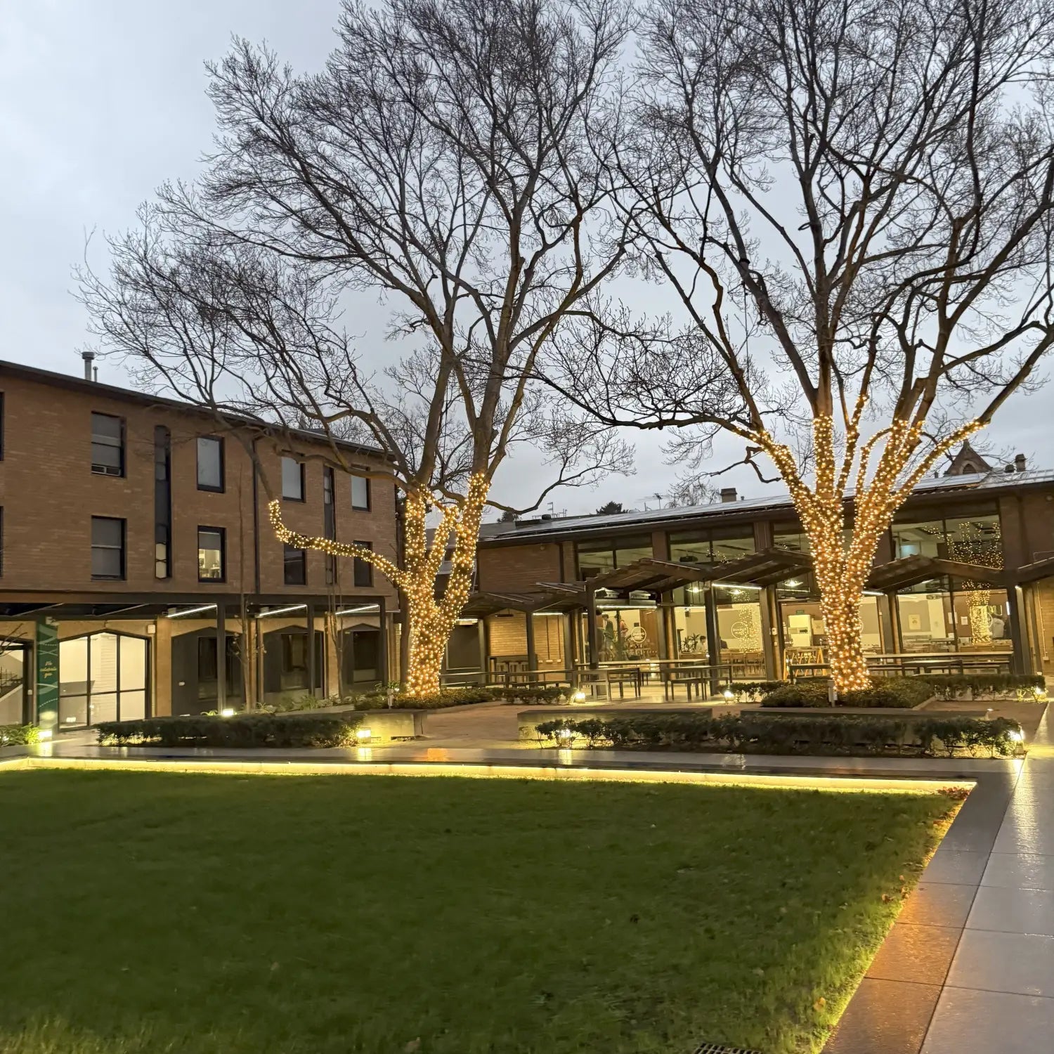 Lighting Up the University of Melbourne