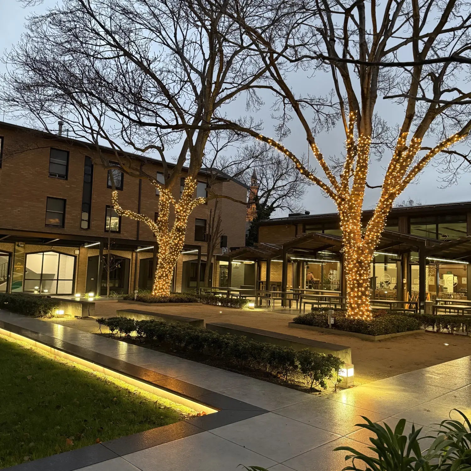 Lighting Up the University of Melbourne