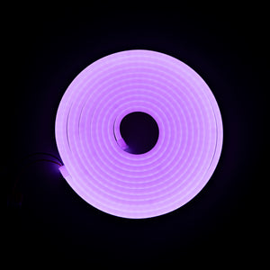 6x12 Flex Neon (mtr) Jacaranda Purple