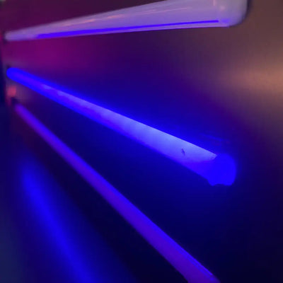 Glowing blue fluorescent light tubes with coloured end caps for 8x16 flex neon installation