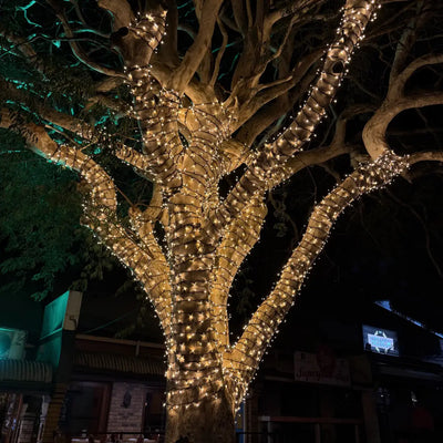 Extra-Large Tree Commercial Grade Fairy Light DIY Package - Tree Lighting