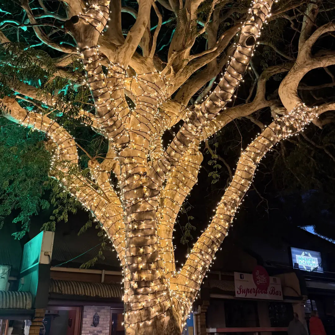 Extra-Large Tree Commercial Grade Fairy Light DIY Package - Tree Lighting