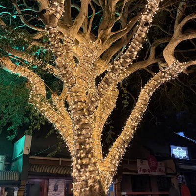Extra-Large Tree Commercial Grade Fairy Light DIY Package - Tree Lighting