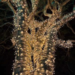 Medium Tree Commercial Grade Fairy Light DIY Package - Tree Lighting