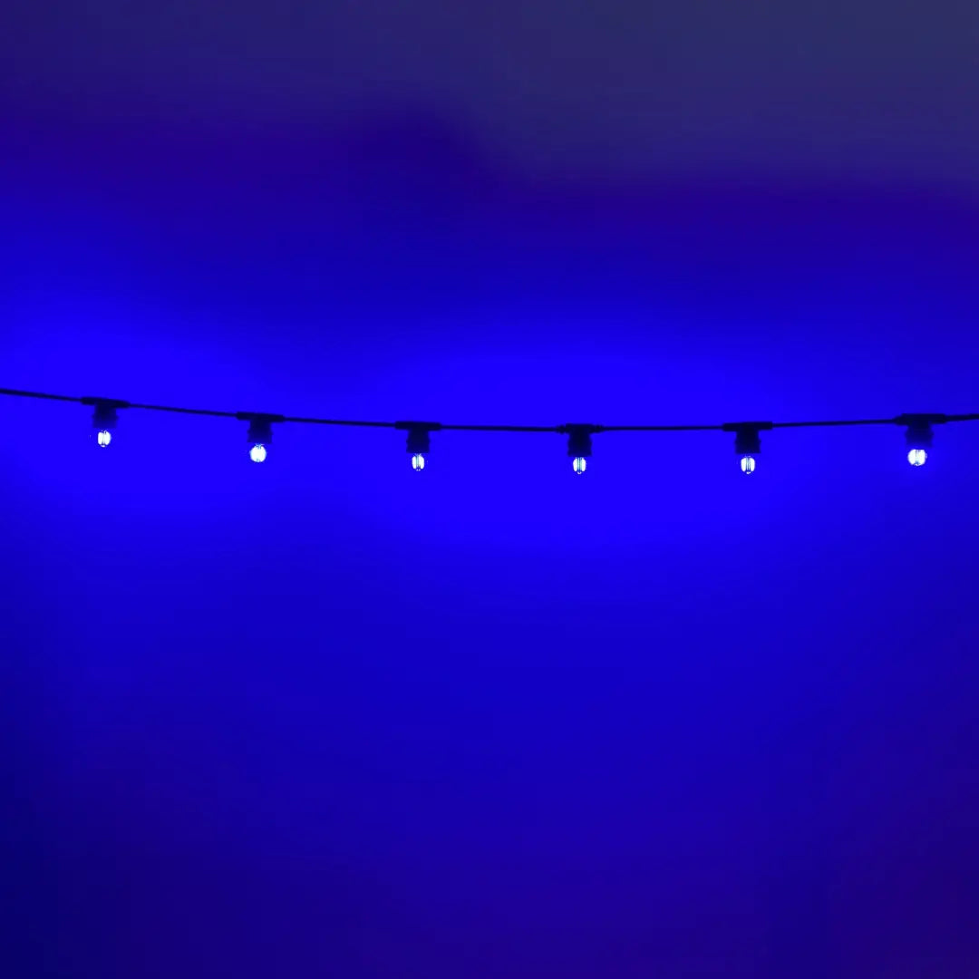 50m G45 Blue 2F Festoon Lighting Bundle (0.5m Spacing) - Festoon Lighting