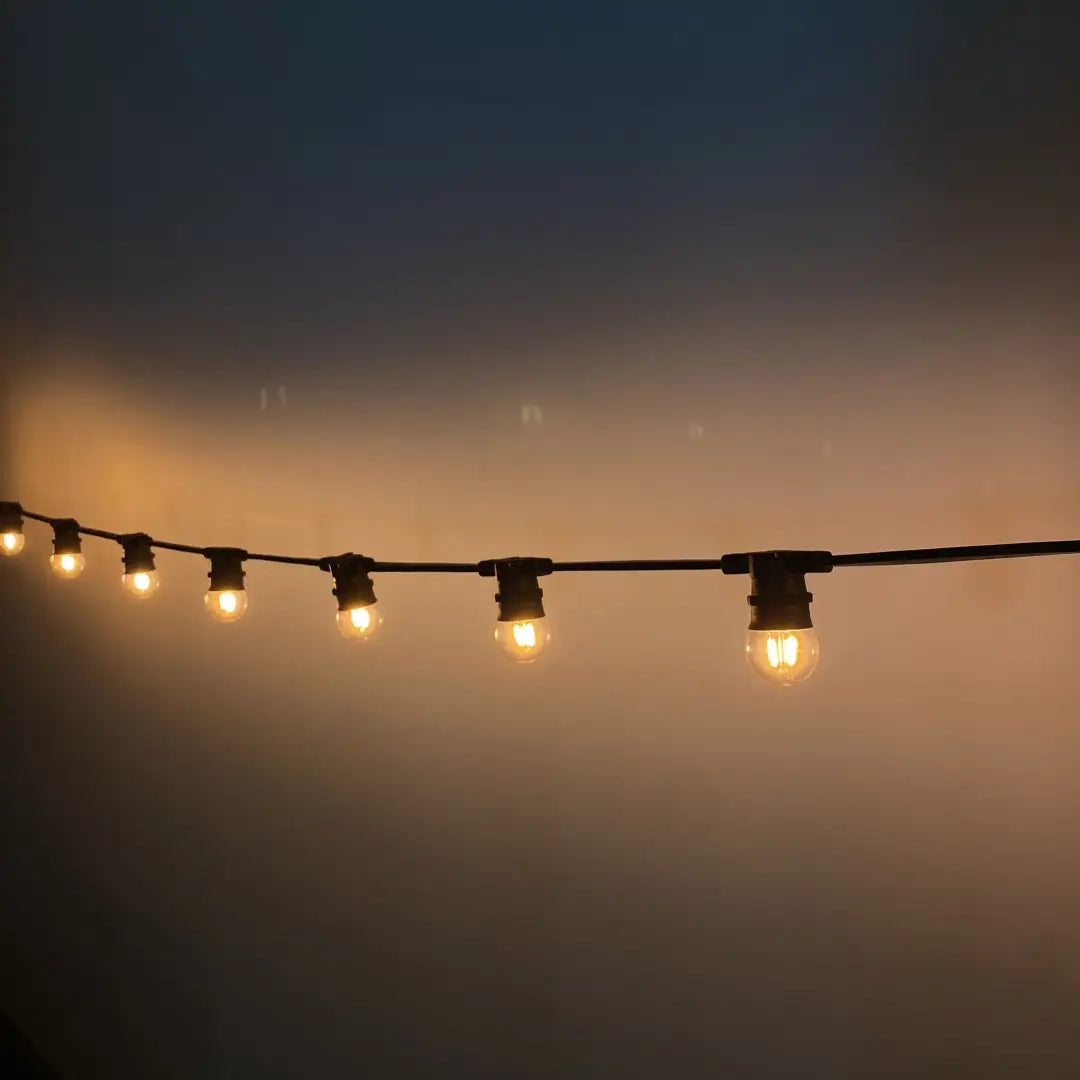 G45 Clear 1800K 2F Flat Festoon Lighting Per Meter (0.25m Spacing) - Festoon Lighting