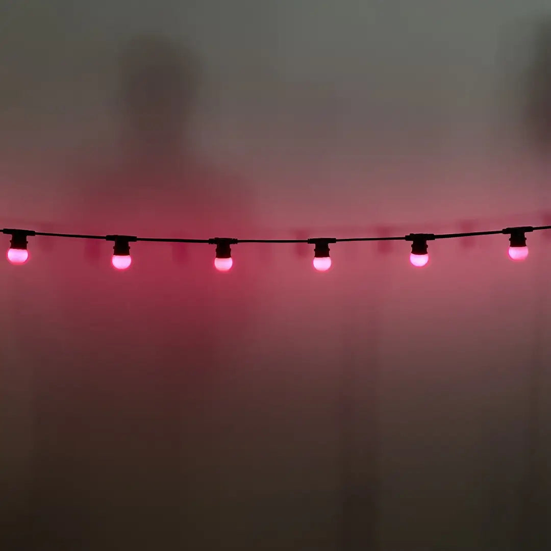 50m G45 Purple 2F Festoon Lighting Bundle (0.5m Spacing) - Festoon Lighting