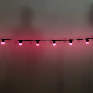 50m G45 Purple 2F Festoon Lighting Bundle (0.5m Spacing) - Festoon Lighting