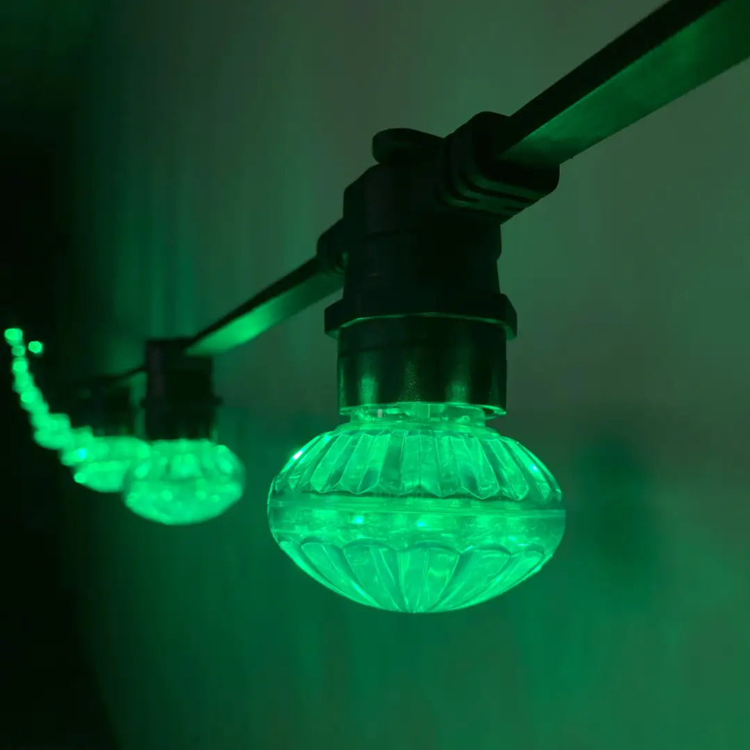 50m Green Cabochon Festoon Lighting Bundle (0.5m Spacing) - Festoon Lighting